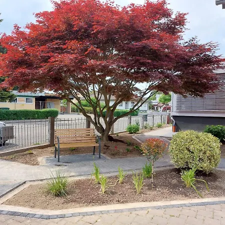 Sonnige Bei Familie Koehler *